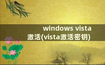 windows vista激活(vista激活密钥)